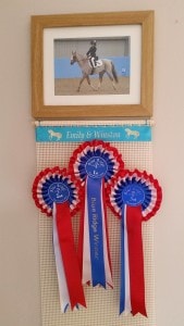 Horse Rosette Holder, Photo Frame Rosette Holders, rosette holder