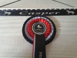 rosette holders, horse rosette display.rosette display holders, rosette display. display rosettes. rosette hanging ideas