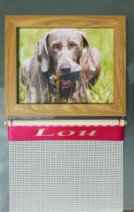 Photo frame Rosettes Holder, Rosettes Frame, Rosettes Display Holder, Dog Ribbons display holder,Ideas Hanging Rosettes 