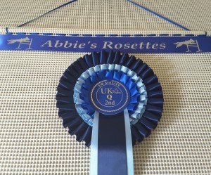 Rosette holder, dog agility rosette holder, rosette holders, dog rosette holder