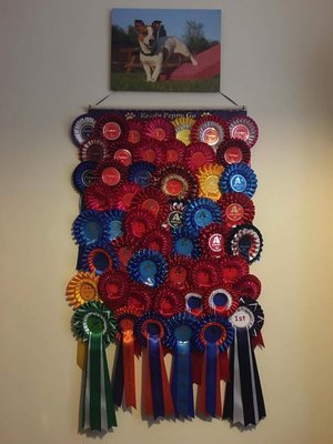 rosette holder 