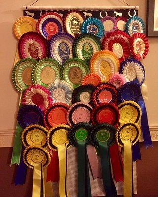 rosette Holder , Rosette Display , Rosette display holder, horse rosette board