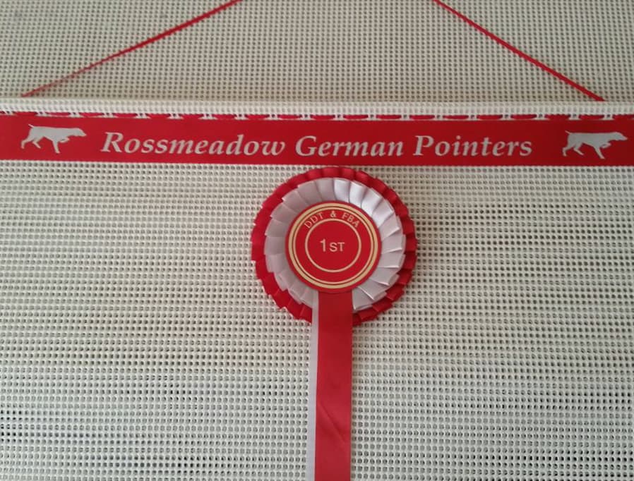 rosette holder, rosette frame, rosette board, ideas for displaying rosettes, display your rosettes UK, holder for horse show ribbons, how to display rosettes rosette holder, dog show rosette holder, rosette holders