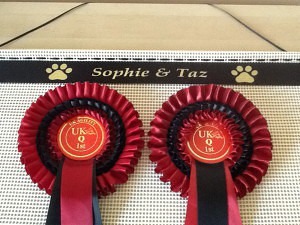 Rosette Display Featuring Paw Prints next to your chosen text Dog Show rosette holder