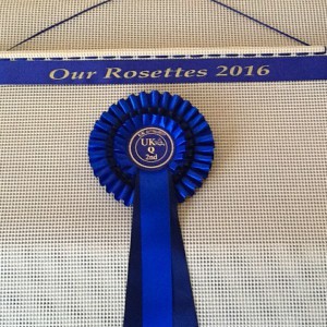 Rosette Holder, Rosette frame, rosette board ,rosette boards,rosette pin board, rosette hanger, horse rosette board, how to make a rosette holder, Rosette Ribbon Holder, rosette display