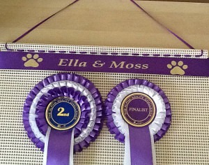 Easter Show weekend . dog show  Horse show rosettes Holder  hanger 