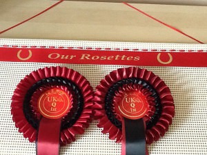 Easter show , Dog show horse show rosettes