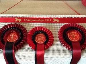 dressage rosettes horse show rosettes Pony Club, pony club rosettes, 