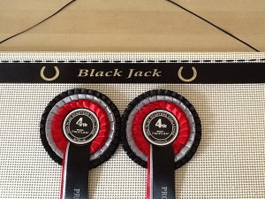 Rosette display , rosette display holder, competition , competition rosettes