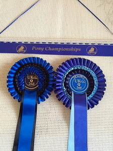 pony club. pony club rosettes, pony clubr osette