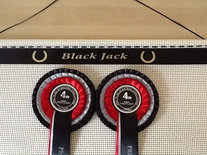 equestrian display for your rosettes, equestrian display,