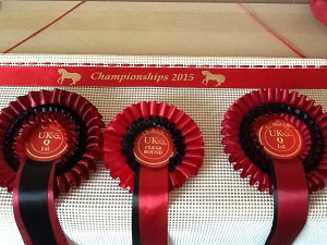 horsey gifts, rosette holder, equestrian gifts. competition gift 