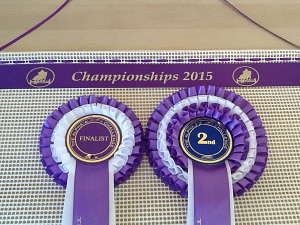  equestrian showing ,rosette holder, rosette hanger, rosette display , rosette holders 