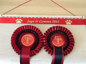 Dog Competition Gift , rosette holder . dog show, dog compeition