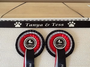 show rosettes, dog show rosettes. ideas for dig show rosettes, how to display rosettes. rosettes