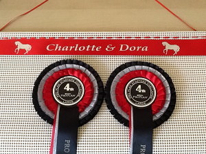 Equestrian Gift , rosette holder