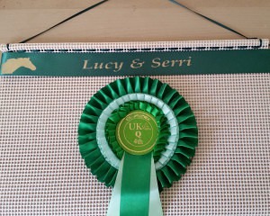 Rosette Holder, Rosette Hanger, rosette frame, rosette display,Ideas For Displaying Rosettes