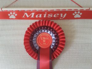 Paw Prints Rosette Frame, rosette frame, dog show rosette ideas