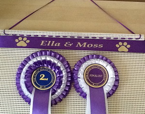 rosette pin board, how to display rosettes, rosette hanger,ideas for displaying your dog show rosettes