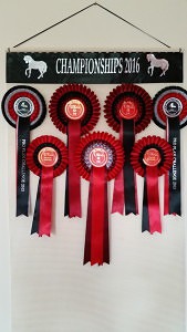 winning rosettes, rosette holder, ideas for displaying rosettes, rosette display, horse show ribbons, rosette board,Ideas For Displaying Rosettes,Rosette Ribbon Holder