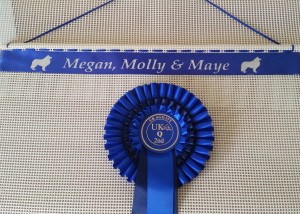 ideas for displaying dog show rosettes, rosette holder