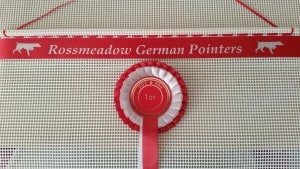 Rosette Display, rosette display frame,Dog Breed Rosette Holders