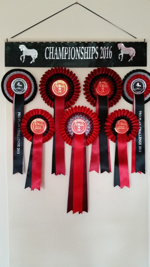 Horse Show Ribbons.Ideas Hanging Rosettes.Royal Three Counties Show