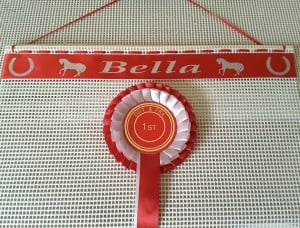 Rosette Display , rosette display holder, horse rosette display Rosette Holder, rosette Holders