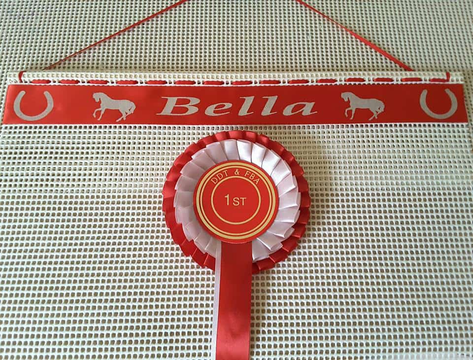 Horse Riding Rosettes, how to display horse riding rosettes, ideas for horse riding rosettes