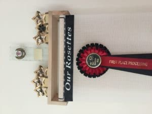 Trophy Shelf Rosette Display Holder 