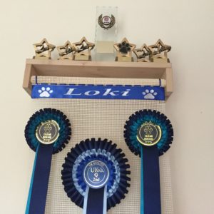Rosettes Display, display Rosettes, Rosette display, rosette hanger Trophy Shelf Rosette Holder