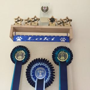 Trophy Shelf Rosette Display Holder 